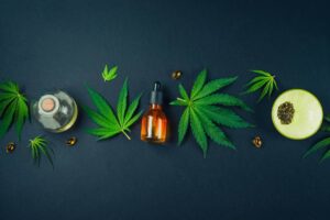 Why Cannabis Businesses Need SEO Services