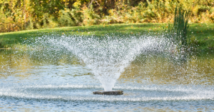 Compelling Reasons to Add a Fountain to Your Pond or Lake